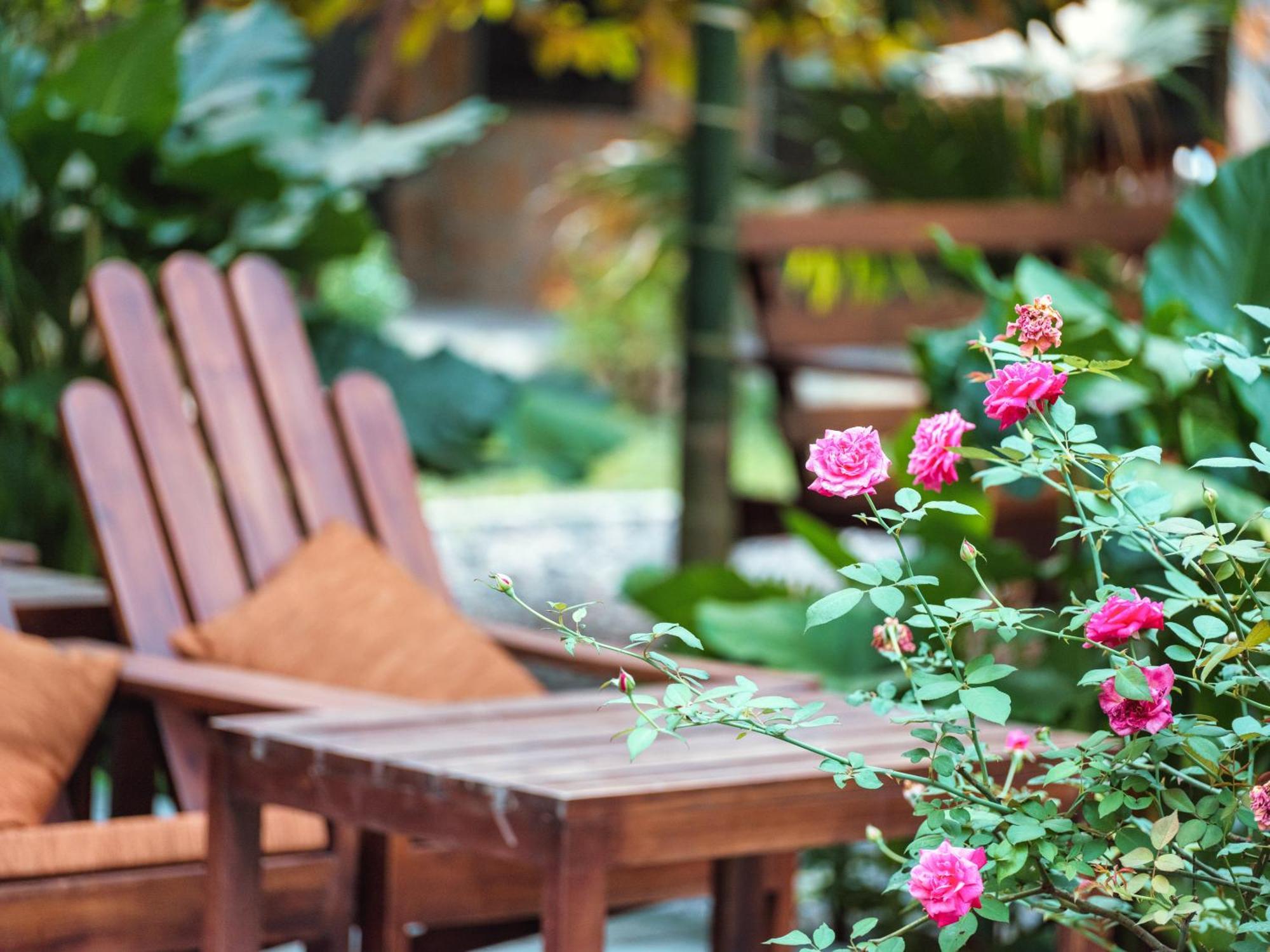 Cozy Beer Garden Homestay Ninh Binh Bagian luar foto